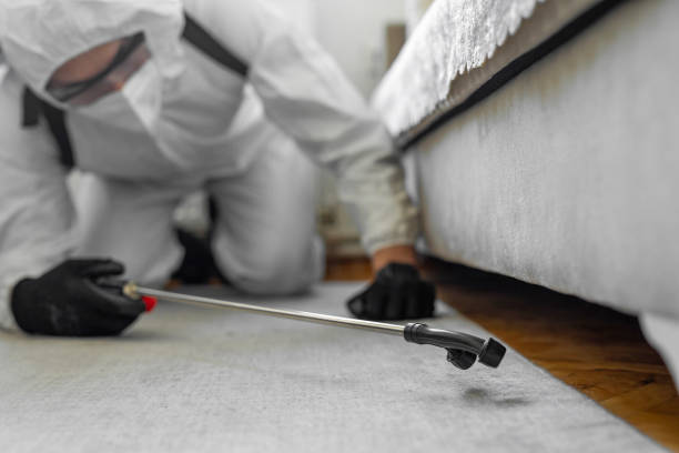 Professional Termite Control technician working in La Mirada, CA
