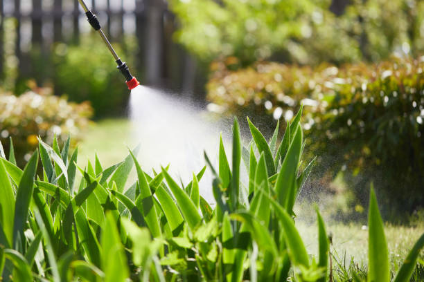 24/7 Emergency Termite Control experts in La Mirada, CA